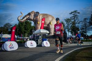 BIB: 
                            <button type="button" onclick="openModal(26541831)" class="btn btn-primary btn-sm float-right btn-popup" data-toggle="modal" data-target=".modal-high-quality">
                        <i class="fas fa-shopping-cart"></i> Add to Cart
                    </button>
                                            <button type="button" onclick="isThisMe(26541831, true)" class="btn btn-success btn-sm float-right btn-popup btn-isme hidden" data-toggle="tooltip" data-placement="bottom" title="นี่คือรูปของคุณใช่ไหม คลิกที่นี่เพื่อเอาเข้าอัลบั้ม">
                        <i class="fas fa-plus"></i> Add to album
                    </button>
                    <button type="button" onclick="isThisMe(26541831, false)" class="btn btn-warning btn-sm float-right btn-popup btn-isnotme hidden">
                        <i class="fas fa-ban"></i> Remove from album
                    </button>